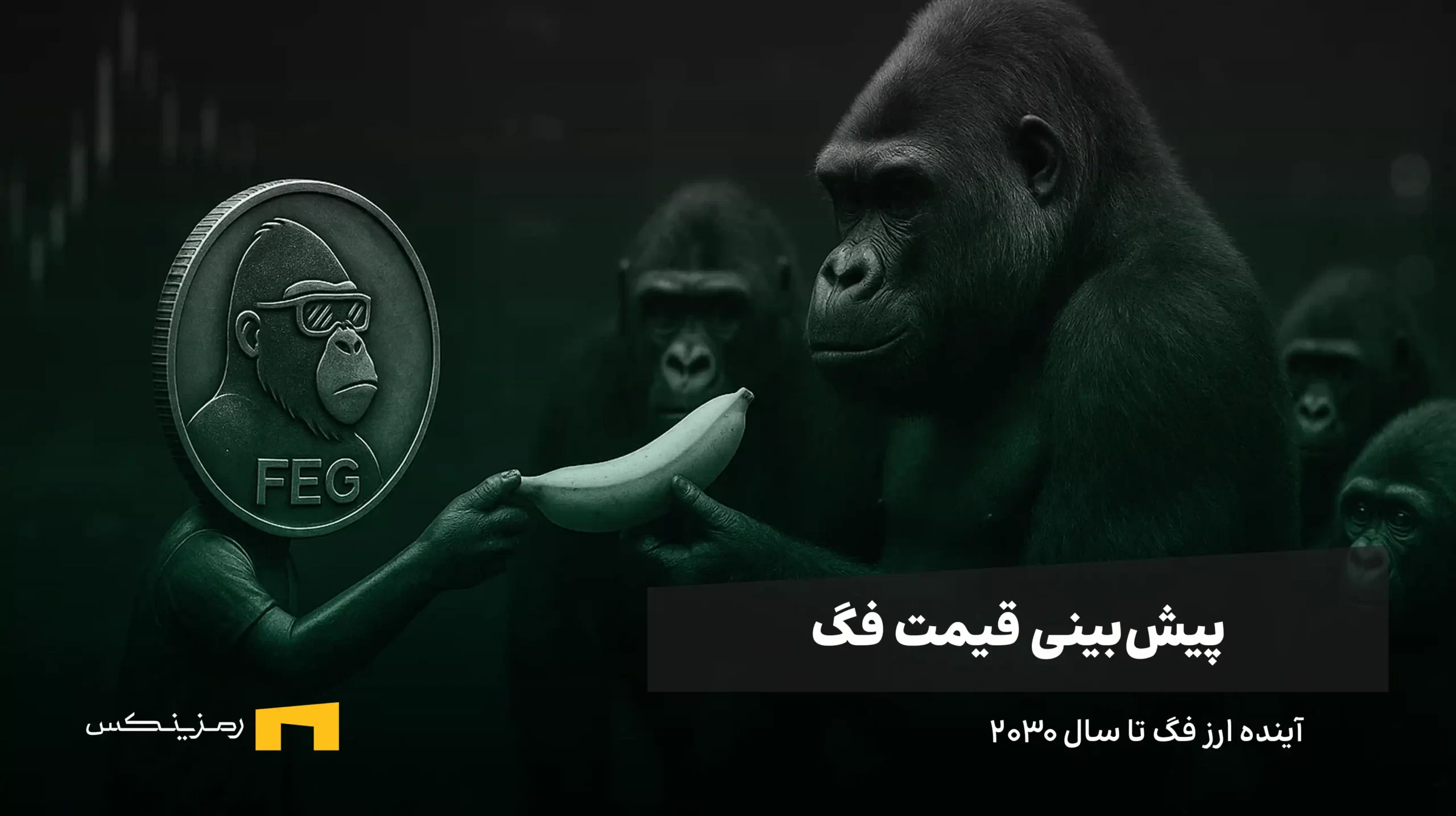 feg-price-forecast-2030 آینده ارز فگ | پیش بینی قیمت فگ تا سال ۲۰۳۰