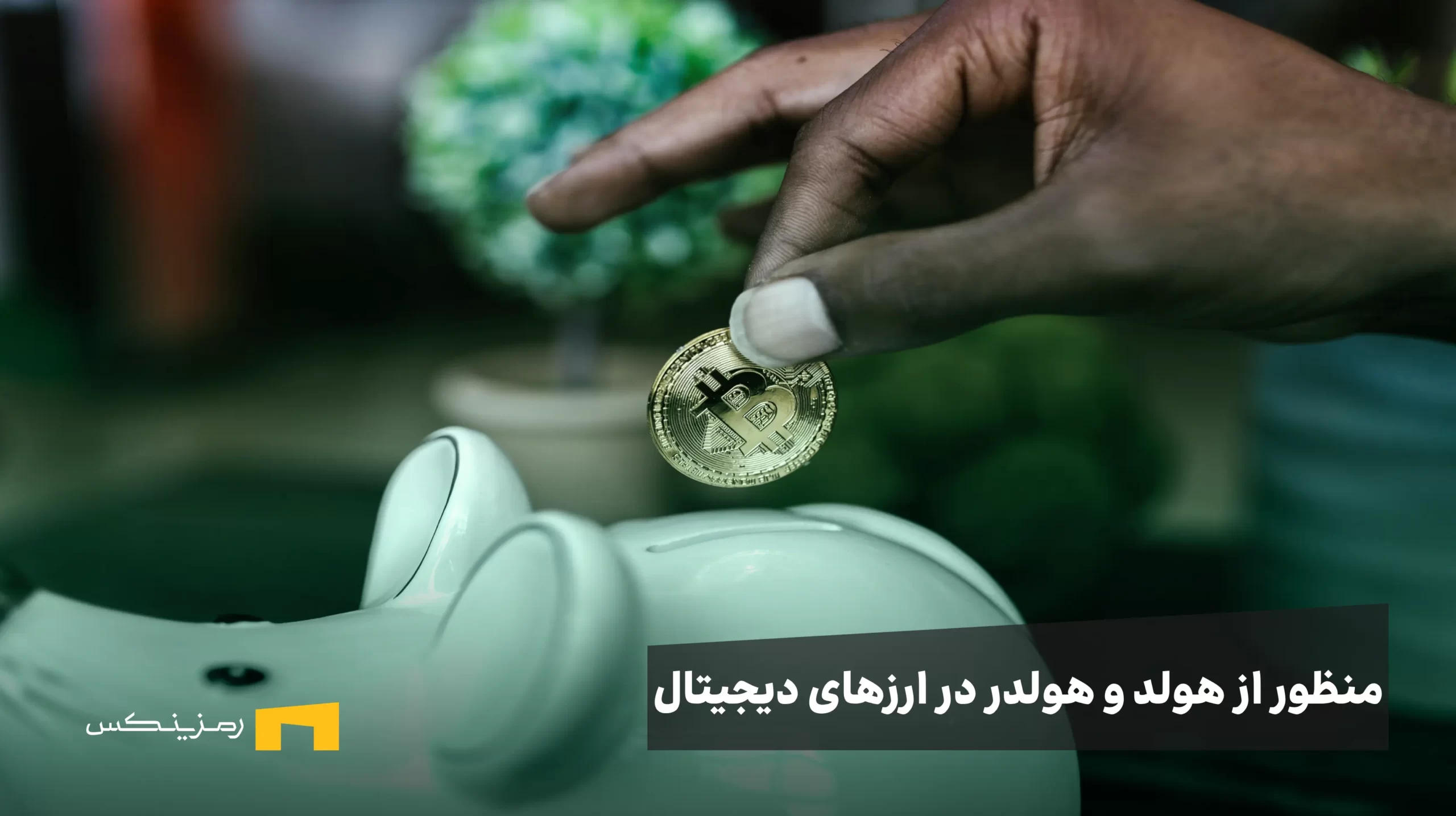 منظور از هولد و هولدر در ارزهای دیجیتال چیست؟