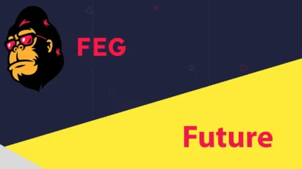 آینده ارز دیجیتال فگ FEG چگونه است؟