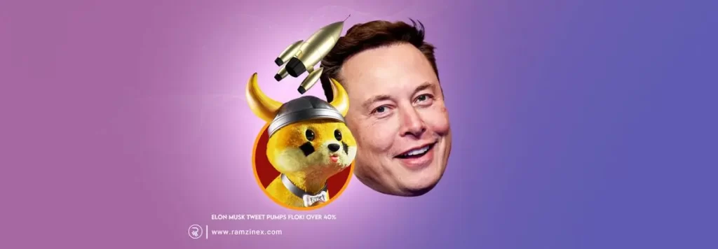 اخبار ارز دیجیتال - تاثیر توییت ایلان ماسک بر قیمت میم کوین‌ها