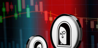 هر آنچه باید درباره بنیاد ایپ ان اف تی ApeNFT بدانید هر آنچه باید درباره بنیاد ایپ ان اف تی ApeNFT بدانید