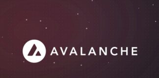 زیرشبکه یا Subnet در آوالانچ چیست؟ لوگوی آوالانچ