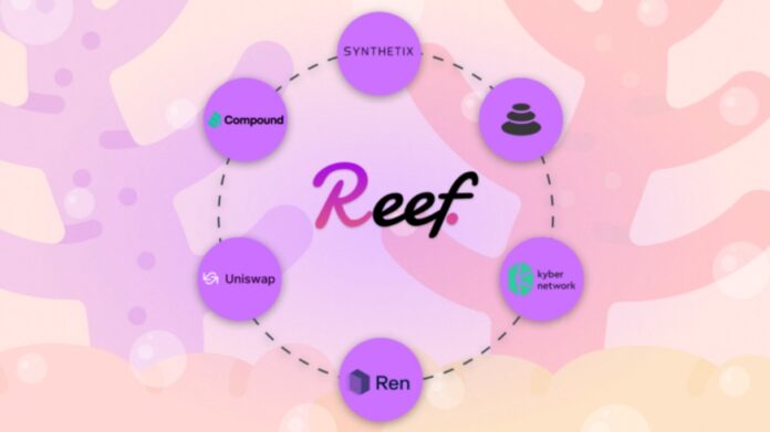 reef-defi-protocol نمای پروتکل Reef و قابلیتها