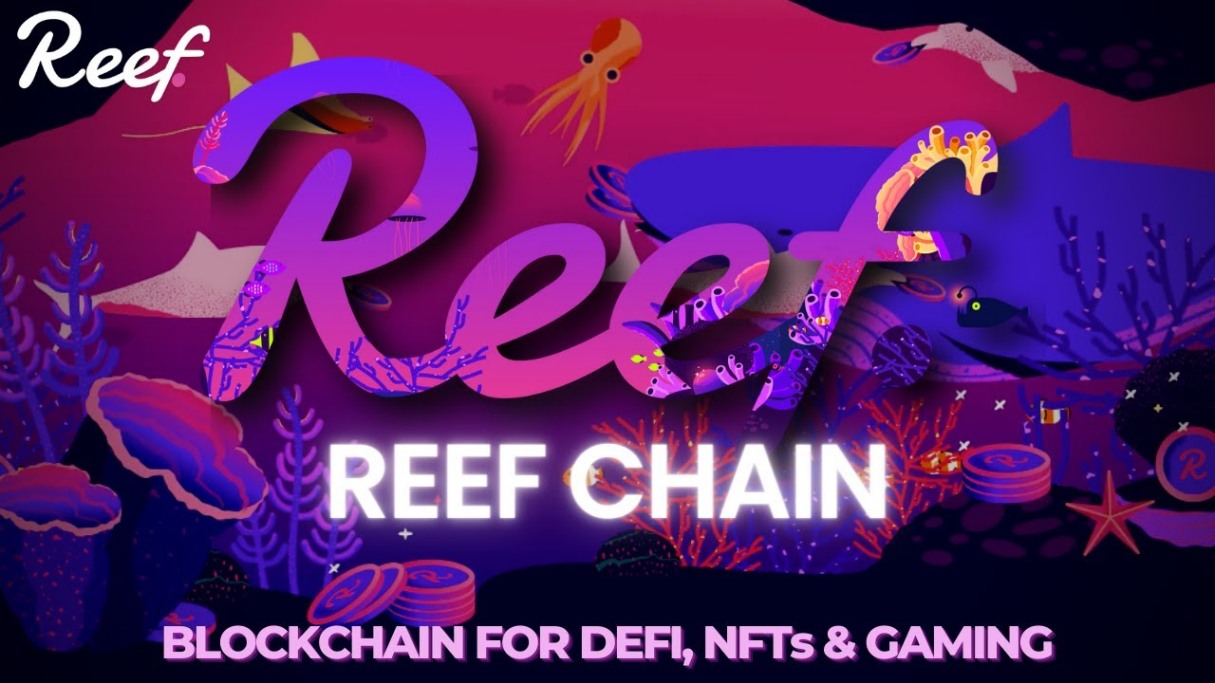 لوگو Reef Chain