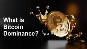 دامیننس بیت کوین چیست؟ نمودار Bitcoin Dominance
