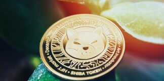 کاهش نگرانکننده کاربران شیباریوم علیرغم افزایش فعالیت شبکه نماد توکن SHIB در کنار لوگوی شیباریوم، نشاندهندهی فعالیت شبکه شیباریوم علیرغم خروج کاربران از این پلتفرم.