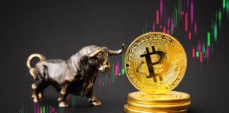 جهش قابل توجه بیتکوین و بازدهی قابل ملاحظه استراتژی خنثی در بازار کریپتو قیمت بیتکوین در یک روز ۹.۵٪ افزایش داشت که بیشترین مقدار از مهرماه ۱۴۰۲ بوده است.