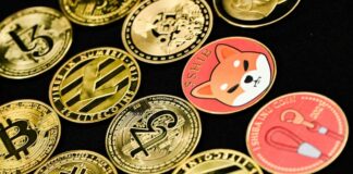 همکاری Apcopay و CoinPayments پیشرفت جهانی شیبا اینو (SHIB) را آسانتر میکند شیبا اینو (SHIB) طی همکاری شرکتهای Apcopay و CoinPayments، به فرایندهای پرداخت ۲۵ کشور ورود کرد و پرداخت با SHIB تسهیل شد.