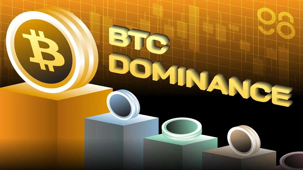 عوامل تاثیرگذار بر دامیننس بیت کوین