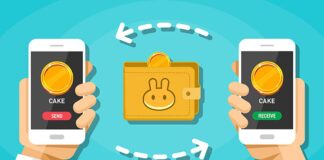 بهترین کیف پول ارز کیک کدام است؟ انتخاب بهترین کیف پول ارز کیک