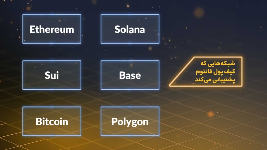 اینفوگرافی شبکههایی که کیف پول فانتوم از آنها پشتیبانی میکند.