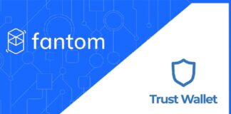 آموزش نحوه انتقال فانتوم به تراست ولت در کوتاهترین زمان آموزش نحوه انتقال فانتوم به تراست ولت