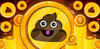 لیست بهترین شت کوینهای آینده دار و پرسود در ۲۰۲۴ معرفی شت کوین های آینده دار سال 2024 برای سرمایه گذاری و کسب درآمد