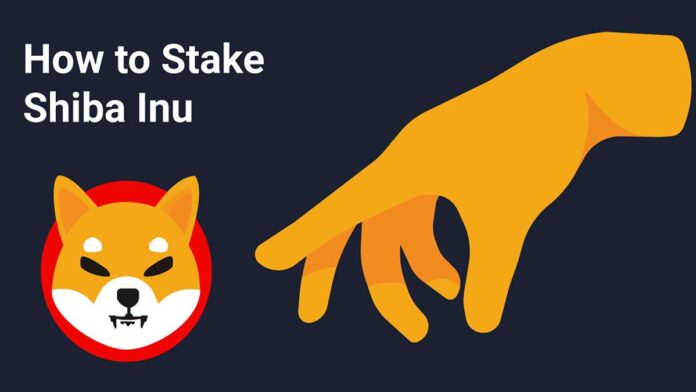 Staking-Shiba-Inu-logo تصویری که در آن نوشته شده است: چگونگی استیک شیبا اینو