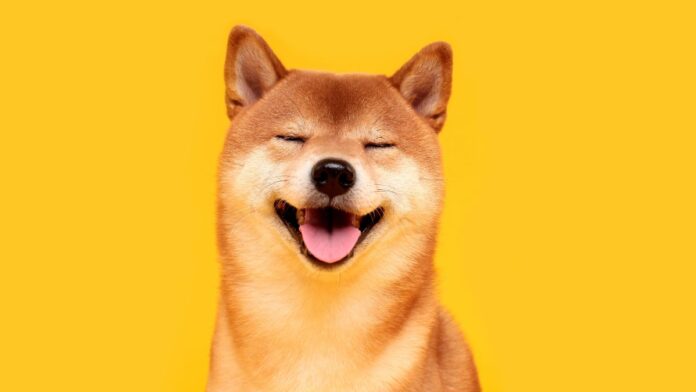 نگرانی از فعالیت‌های مشکوک در بازار رمزارز. افزایش شدید شیبا اینو و بیت‌کوین چه به همراه خواهد داشت؟