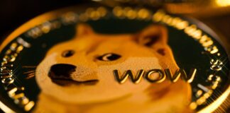 آیا اصلاح قیمتی ۴۰ درصدی در انتظار دوجکوین است؟ احتمال اصلاح ۴۰ درصدی قیمت دوجکوین.