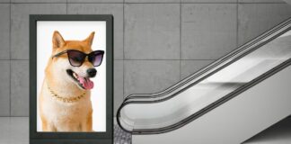 میمکوین سولانا، dogwifhat، پس از جمعآوری سرمایهی ۶۷۲ هزار دلاری، آسمان لاسوگاس را تسخیر میکند! میمکوین شیبا اینو با جمعآوری سرمایه برای توکن dogwifhat تبلیغی بر روی بیلبورد کروی معروف لاس وگاس گذاشت.