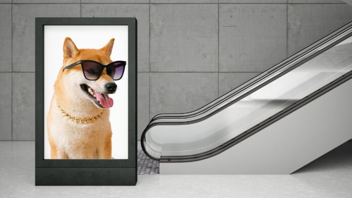 dogwifhat-ad-on-vegas-sphere میمکوین شیبا اینو با جمعآوری سرمایه برای توکن dogwifhat تبلیغی بر روی بیلبورد کروی معروف لاس وگاس گذاشت.