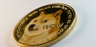 چرا دوجکوین (DOGE) در حال حاضر سرمایهگذاری بهتری نسبت به شیبا اینو (SHIB) است؟ آیا دوجکوین گزینهی بهتری برای سرمایهگذاری نسبت به شیبا اینو است؟