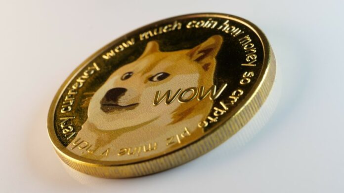 -whale-investors-in-dogecoin آیا دوجکوین گزینهی بهتری برای سرمایهگذاری نسبت به شیبا اینو است؟