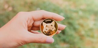 کاهش شدید نرخ سوزاندن توکن شیبا اینو، ابهام در بازار ایجاد کرده است. نرخ سوزاندن توکن شیبا اینو به طرز عجیبی کاهش یافت و در بازار ابهام ایجاد کرد.