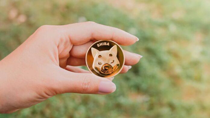 shibainu-low-burn-rates-concerns-market نرخ سوزاندن توکن شیبا اینو به طرز عجیبی کاهش یافت و در بازار ابهام ایجاد کرد.