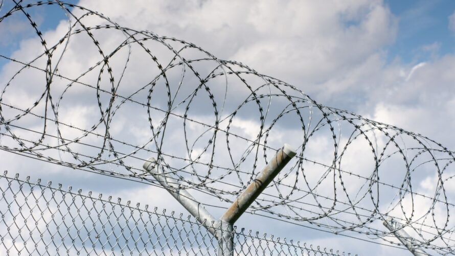 دو کوون بنیان‌گذار استیبل کوین ترا از زندانی در مونته‌نگرو آزاد شد اما در انتظار استرداد به کره جنوبی یا آمریکا است.