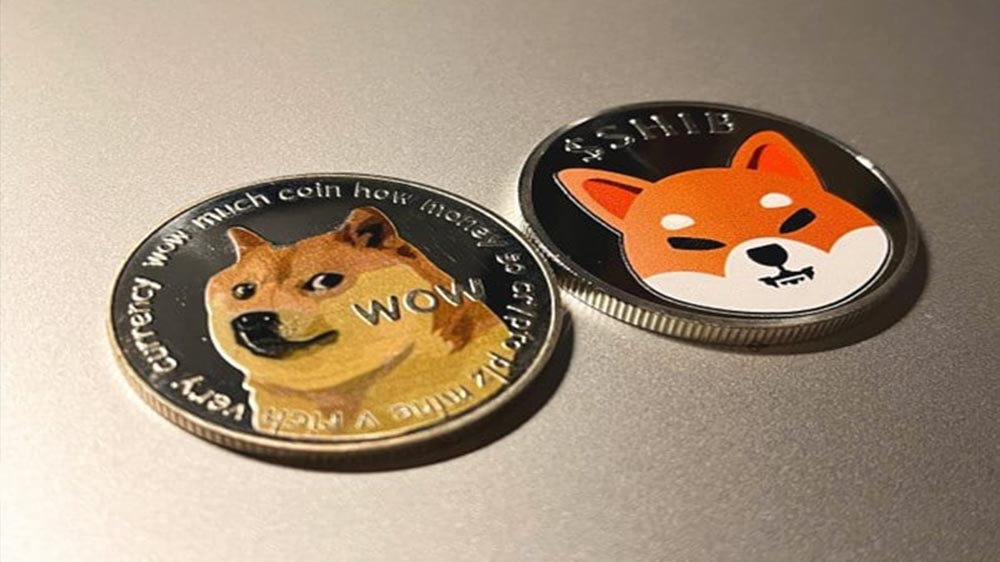دو سکه با عکس و نماد دوج کوین یا سگ شیبا
