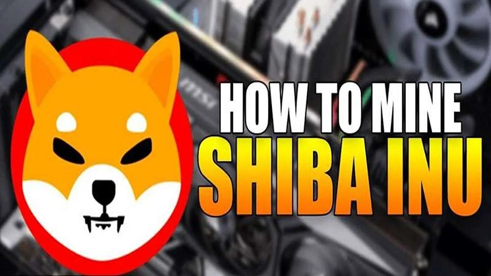 تصویری که در آن نوشته شده: استخراج شیبا چگونه است؟