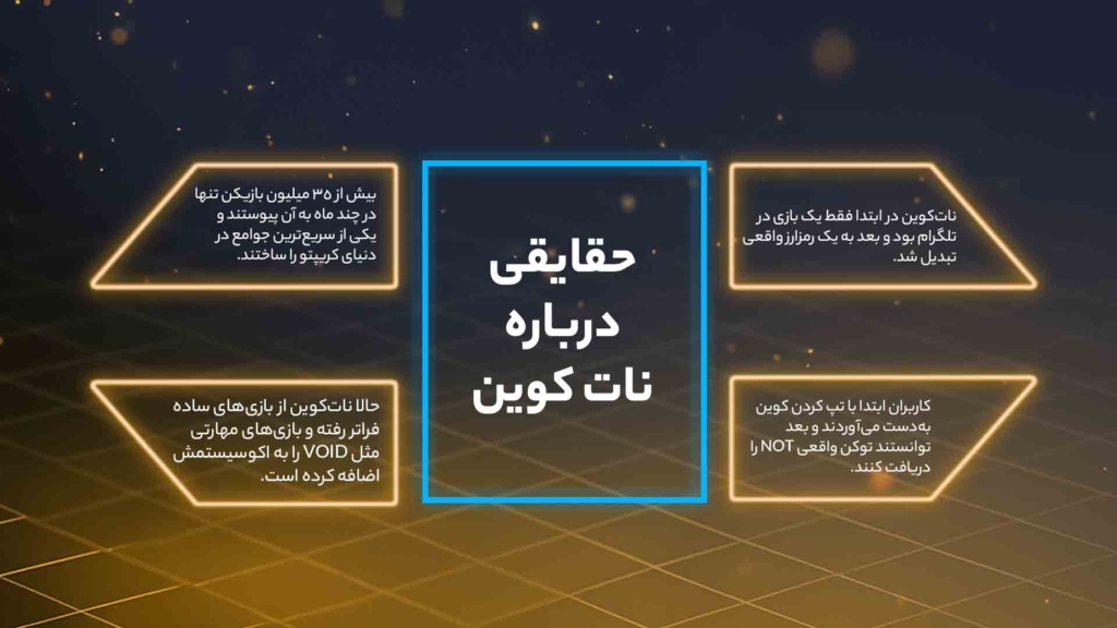 اینفوگرافی حقایق درباره نات کوین