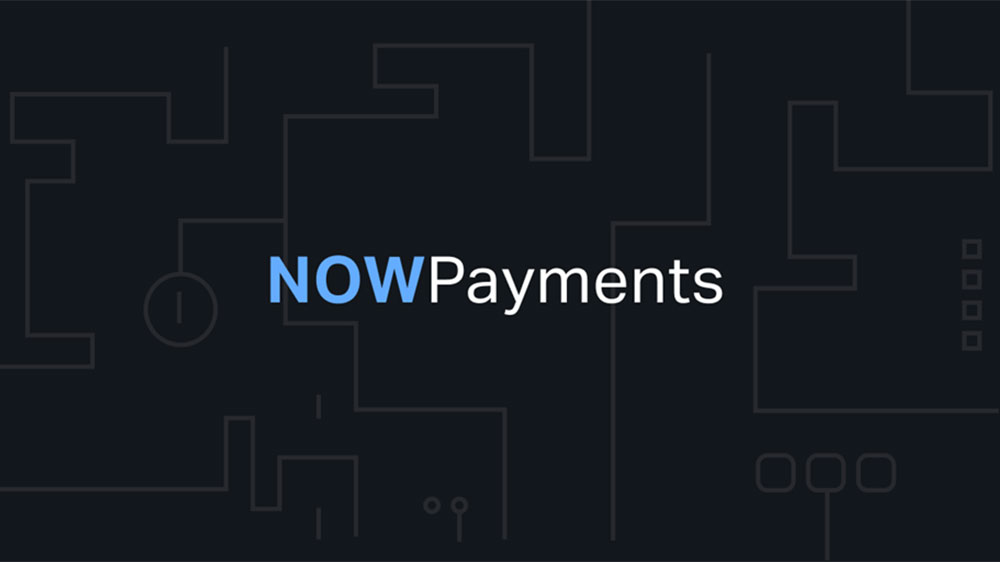 درگاه پرداخت  NowPayments 