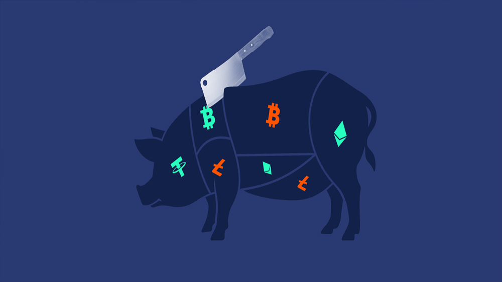 تصویر یک خوک به عنوان نماد ارز دیجیتال Pig-butchering