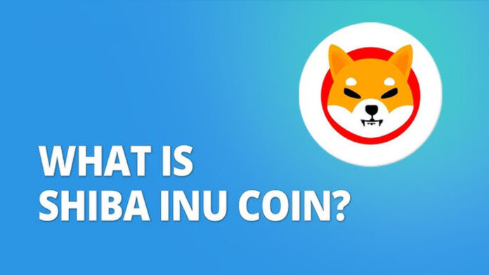 shiba-inu-whitepaper وایت پیپر شیبا اینو و نوکن SHIB