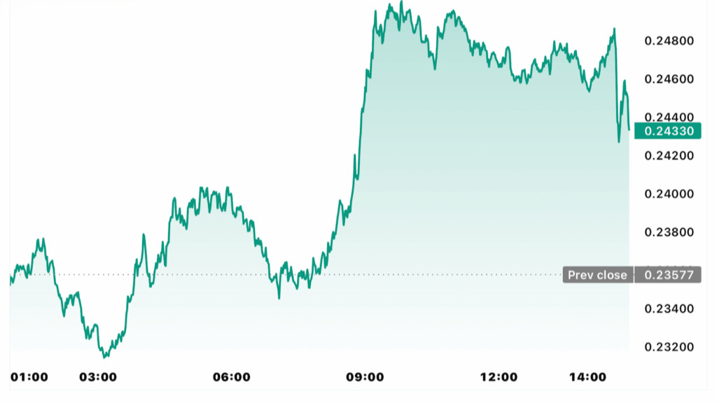 یکی از پامپهای دوج کوین