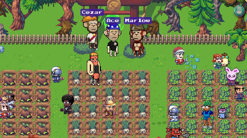 محیط کشاورزی در بازی Pixels