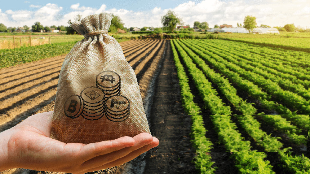 تصویر یک مزرعه و یک کیسه حاوی ارز دیجیتال در دست یک نفر
