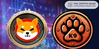 تاریخ رسمی راهاندازی استیکینگ شیباریوم اعلام شد عکس دو عدد سکه شیبا