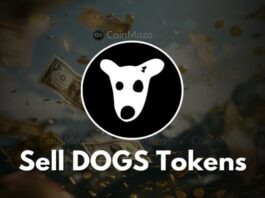 بررسی قیمت احتمالی توکن داگز پیش از فهرست شدن تصویر داگز با پس زمینه دلار