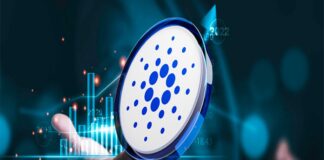 تغییر فورک چه چیز جدیدی برای کاردانو به همراه دارد؟ عکس سکه کاردانو روی یک دست