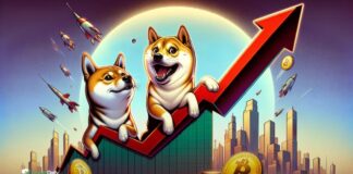 معامله ۱.۲۸ تریلیون شیبا اینو در ۲۴ ساعت، آیا شیبا اینو به میدان بازگشته است؟ دوسگ شبیا سوار برنمودار