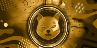 افزایش قدرت کاربران شیبا اینو با راهاندازی سازمان خودمختار غیرمتمرکز (DAO) سکه شیبا اینو