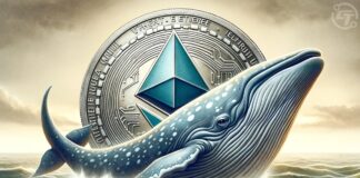 تلاش اتریوم برای حفظ قیمت در ۲۶۰۰ دلار، آیا بازار نزولی خواهد شد؟ تصویر یک نهنگ رو به روی اتریوم