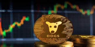میم کوین داگز به ۱۰۰ ارز دیجیتال برتر رسید و بلاکچین تون را مختل کرد عکس سکه داگر با پس زمینه چارت