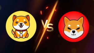 مقایسه بیبی دوج و شیبا اینو؛ کدام یک بهتر است؟