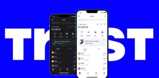 چگونه با تراست ولت پولدار شویم؟ چگونه با تراست ولت پولدار شویم؟