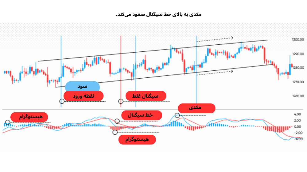 اندیکاتور مکدی پایین صفحه و نمودار قیمت بالای آن