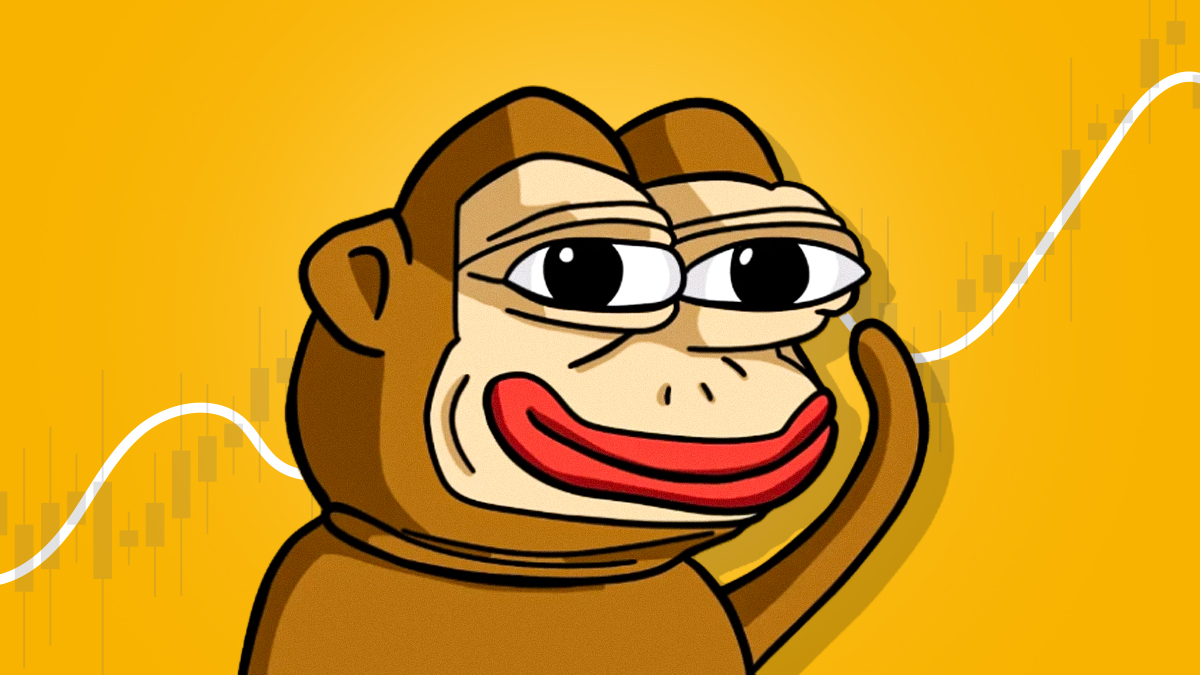 پونک (PONKE) در رمزینکس لیست شد! تصویر یک میمون که کاراکتر توکن پونک (ponke) است.