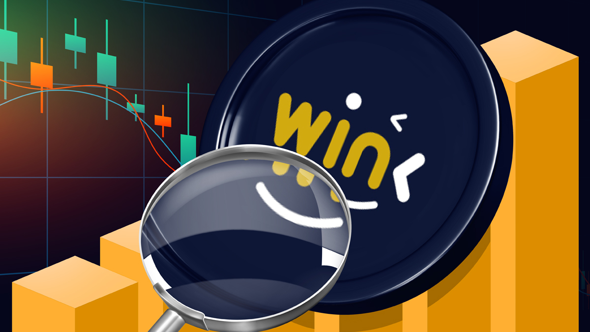 تحلیل فاندامنتال وینک لوگو وین زیر ذره بین