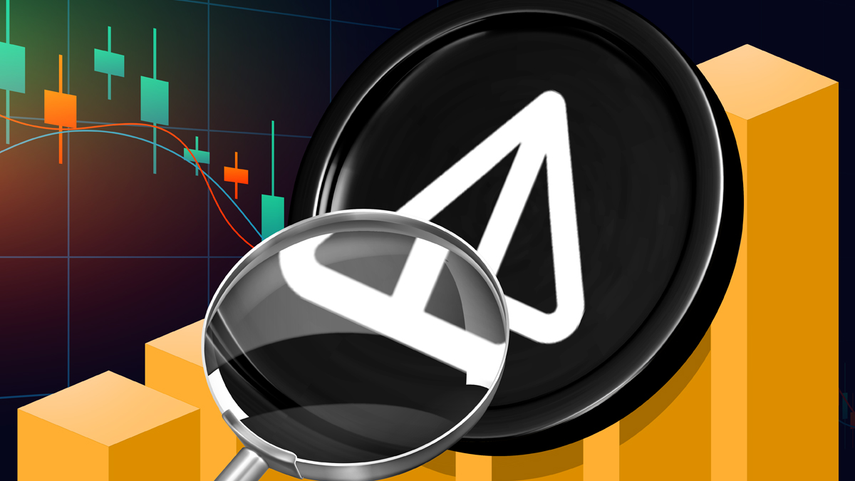 تحلیل فاندامنتال نات کوین لوگو نات کوین زیر ذره بین