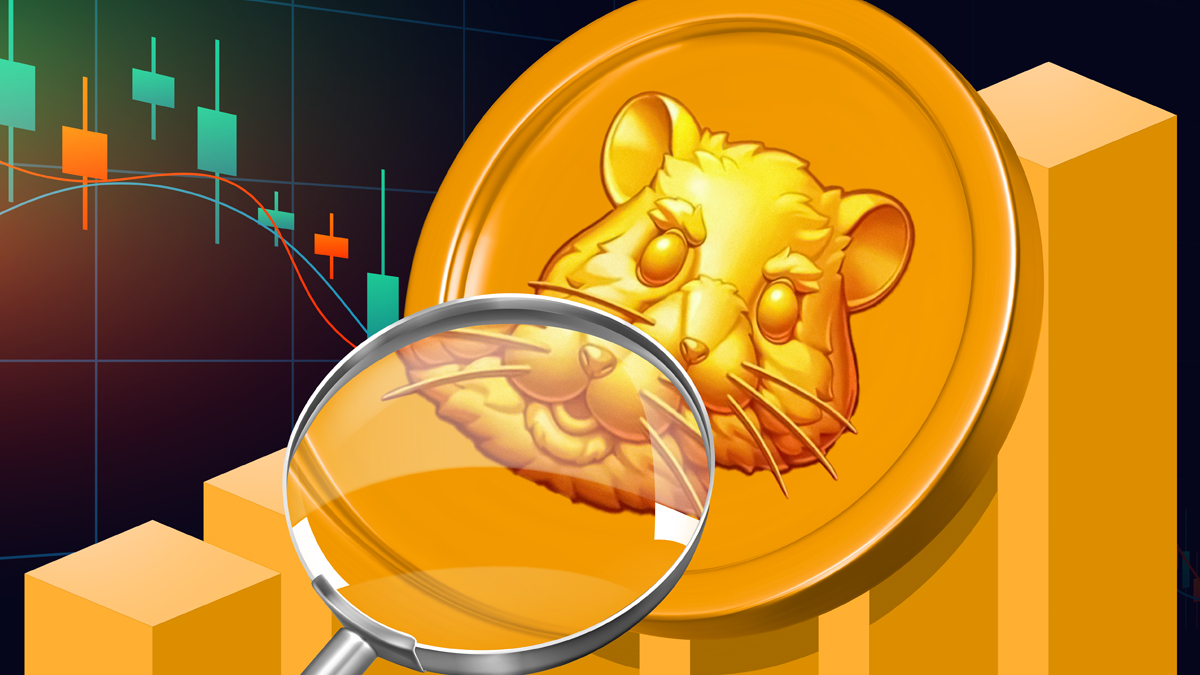 تحلیل فاندامنتال همستر کامبت لوگو همستر کامبت زیر ذره بین